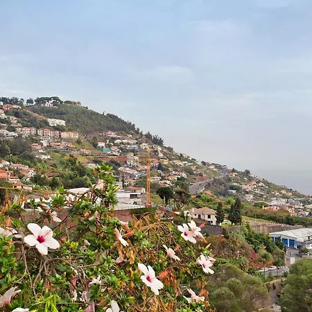 Casal Do Farrobo * Funchal (Madeira)